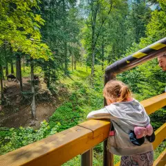 Podkarpacie z dzieckiem: Atrakcje, pomysły na wycieczki i zabawy