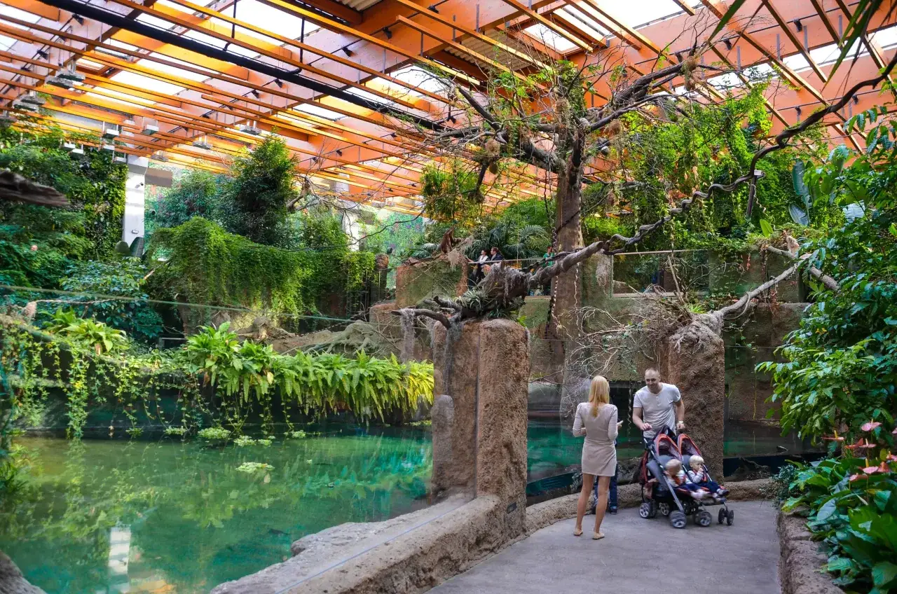 Wrocław Afrykarium ZOO dzieci